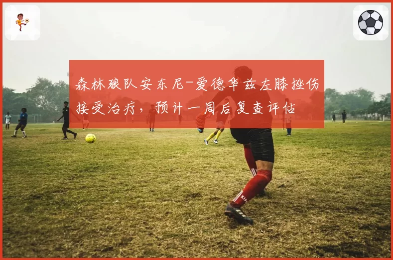 森林狼队安东尼-爱德华兹左膝挫伤接受治疗，预计一周后复查评估
