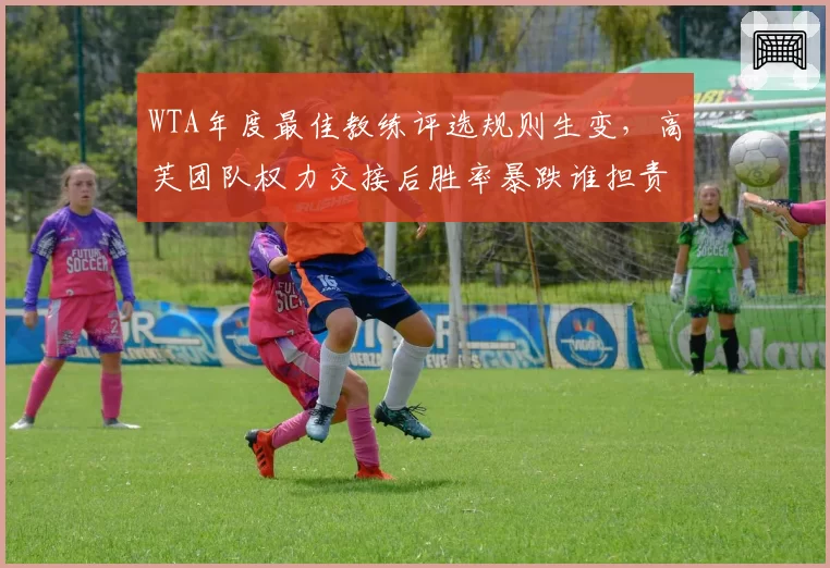 WTA年度最佳教练评选规则生变，高芙团队权力交接后胜率暴跌谁担责？
