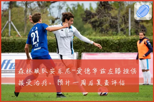 森林狼队安东尼-爱德华兹左膝挫伤接受治疗，预计一周后复查评估